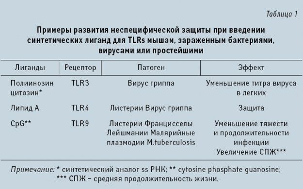 Толл-рецепторы – распознающие рецепторы врожденной иммунной Толл-рецепторы – распознающие рецепторы врожденной иммунной